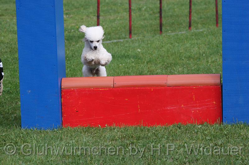 gluehwuermchen08 094 (53).jpg